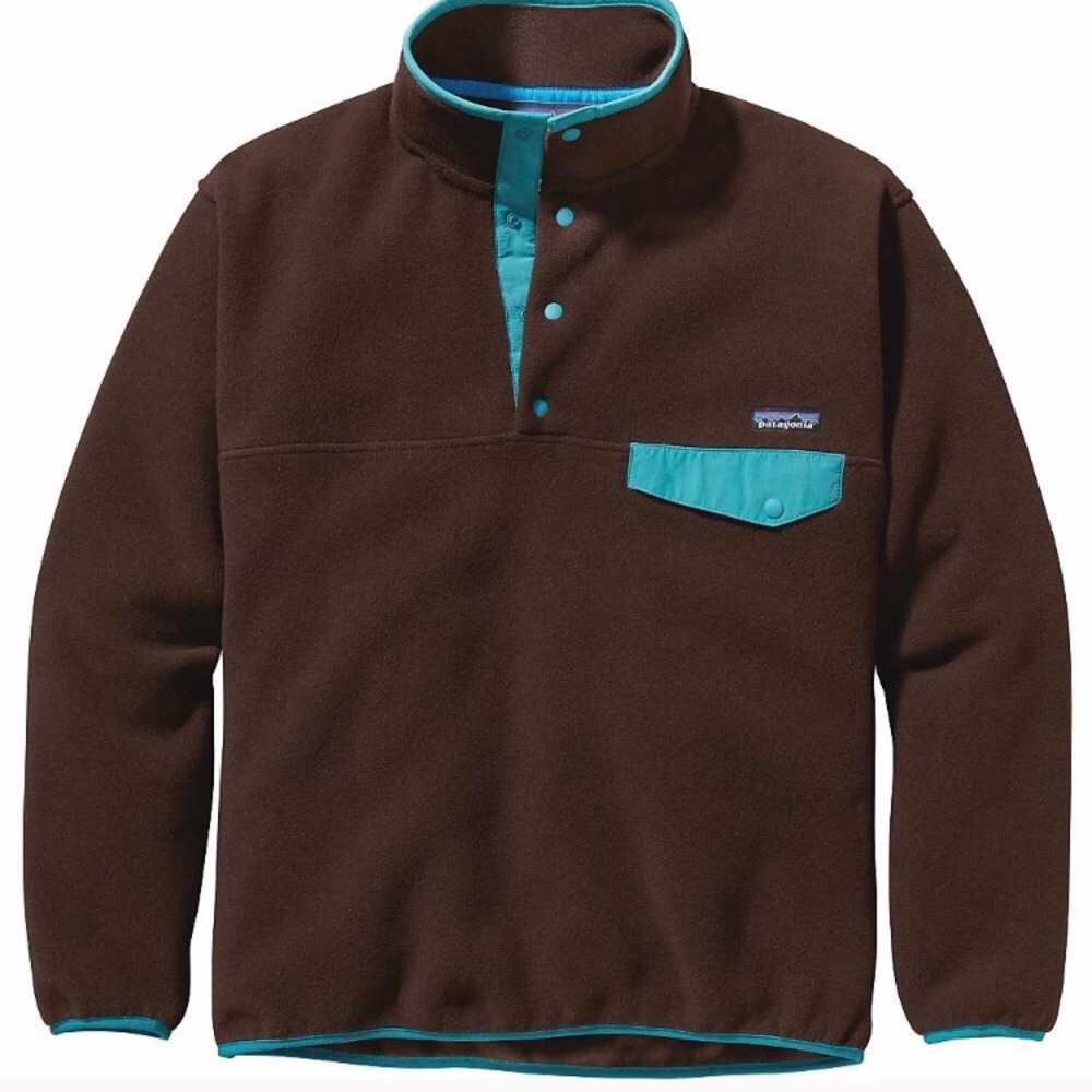 Patagonia Snap-T Synchilla Pullover